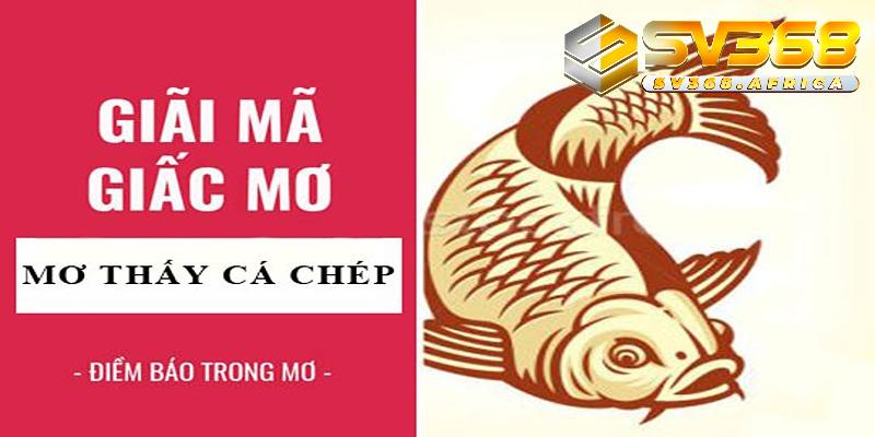 Mơ thấy cá chép