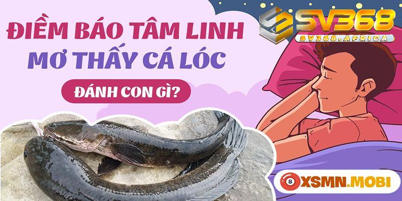 Mơ thấy cá lóc